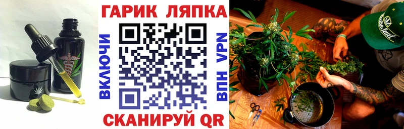 Еда ТГК марихуана  Купить закладки  Шилка 
