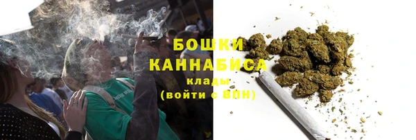 эйфоретик Ельня