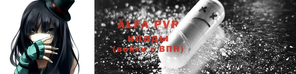 эйфоретик Ельня
