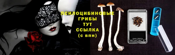 2c-b Елизово