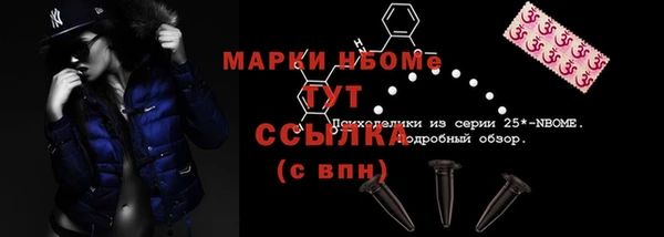 эйфоретик Ельня
