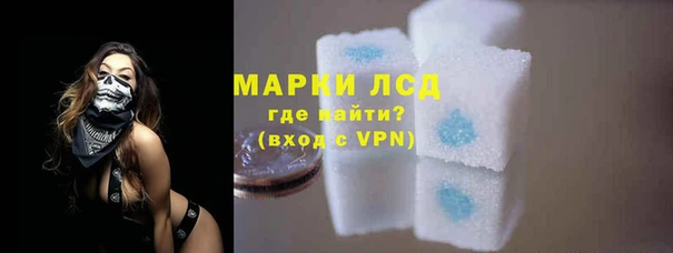бошки Елабуга