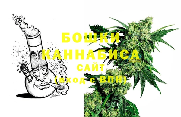 эйфоретик Ельня