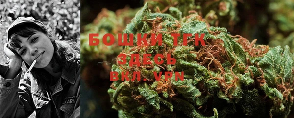 эйфоретик Ельня