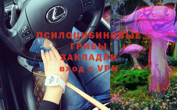 2c-b Елизово